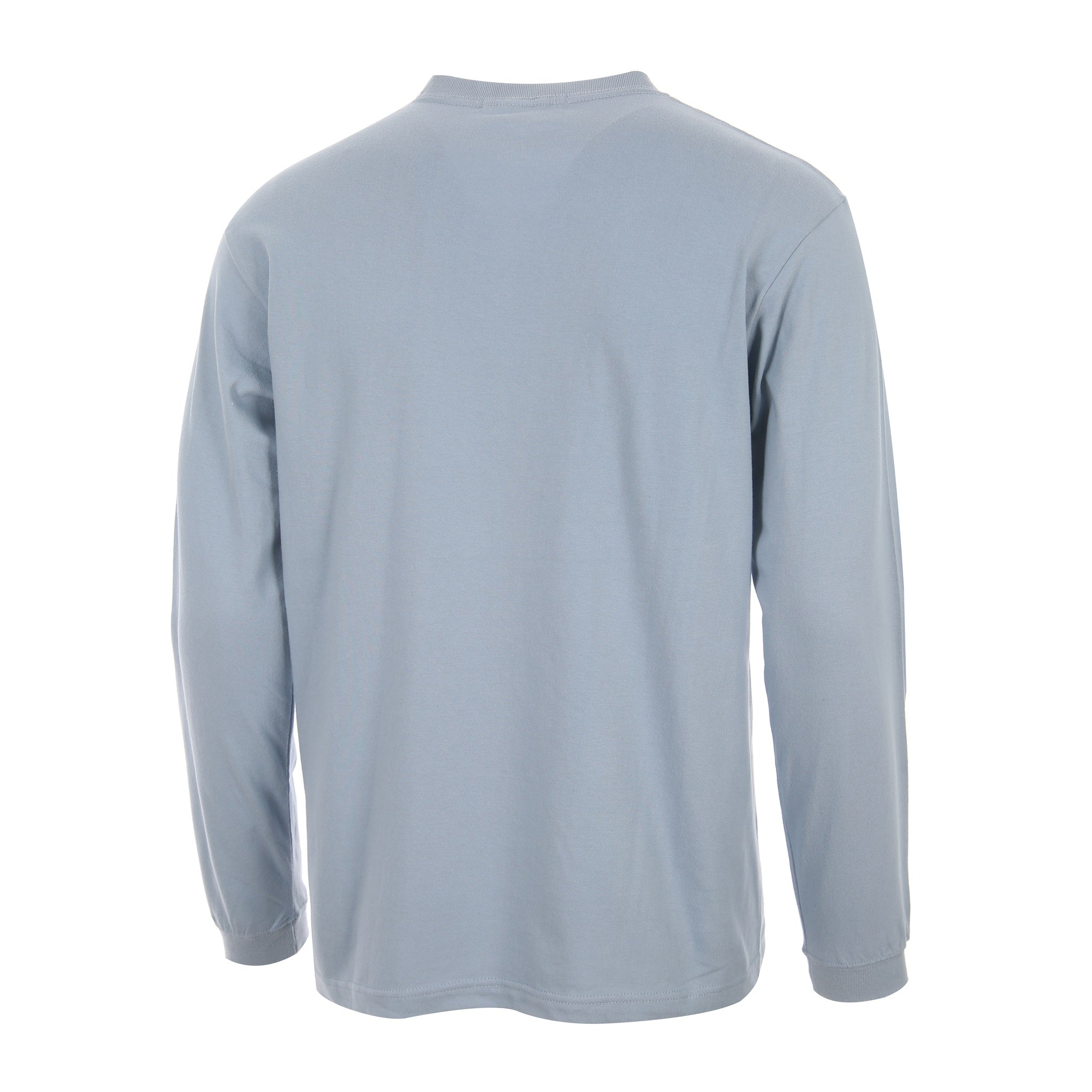 Desporte acid blue 100% cotton long sleeve t-shirt DSP-T53L back view