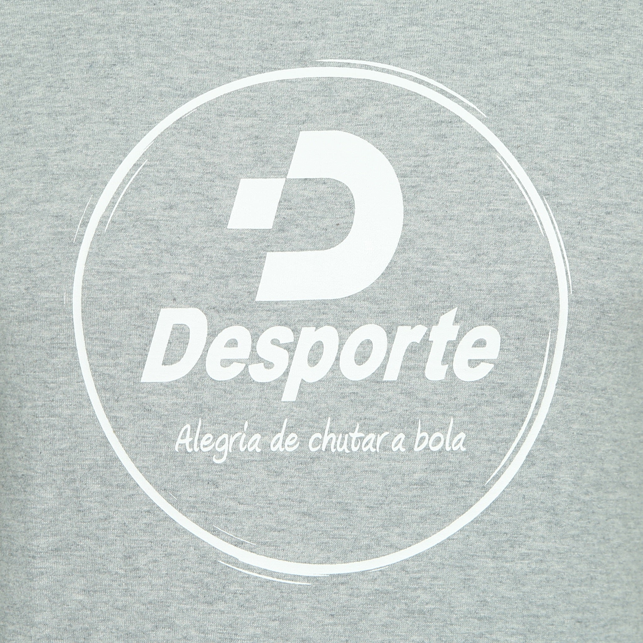 Desporte cotton heavyweight T-shirt, DSP-T42, gray, chest logo