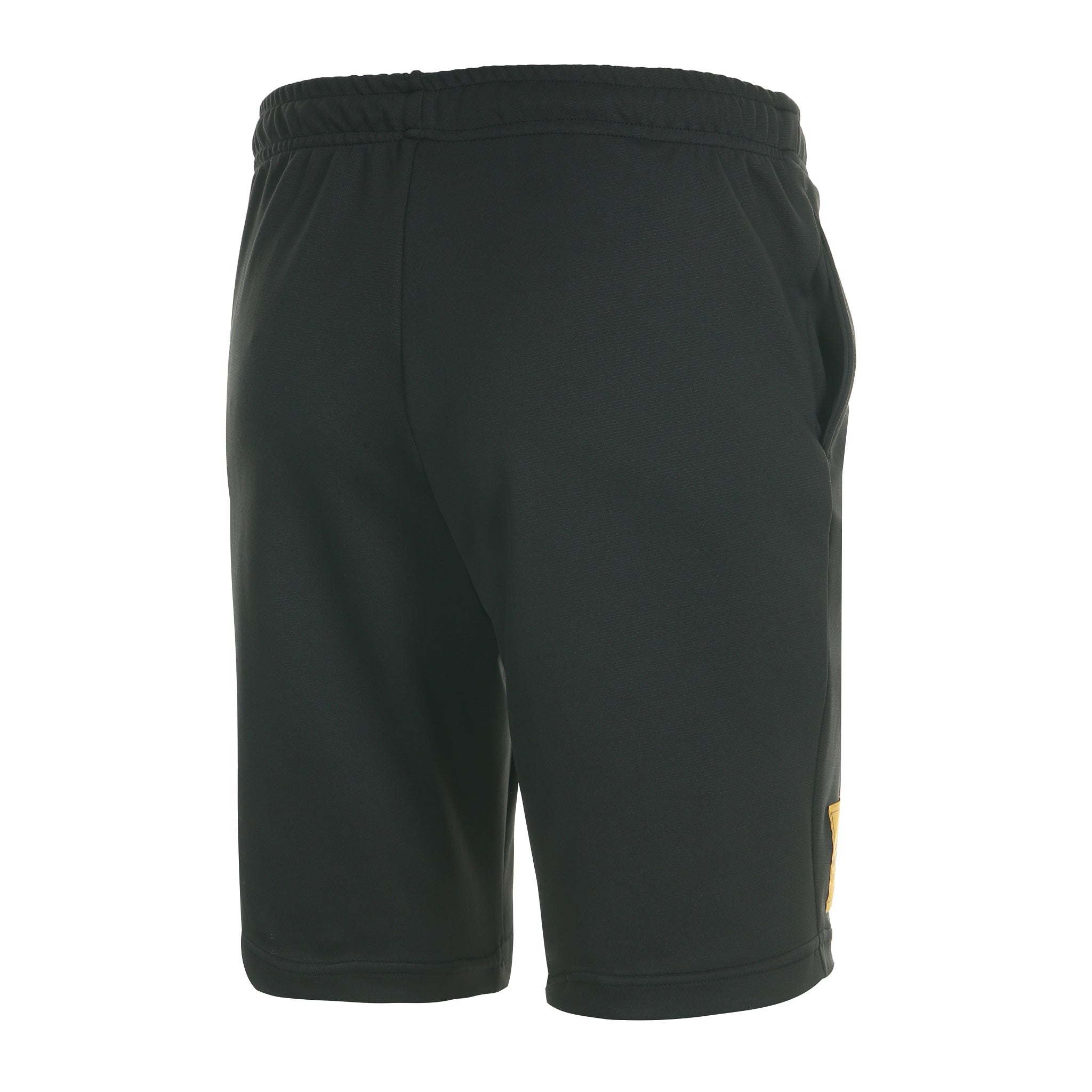 Desporte training shorts, DSP-CHP14SLF, back view